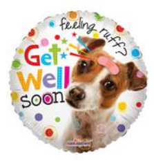 18" Get Well Soon Feeling Ruff